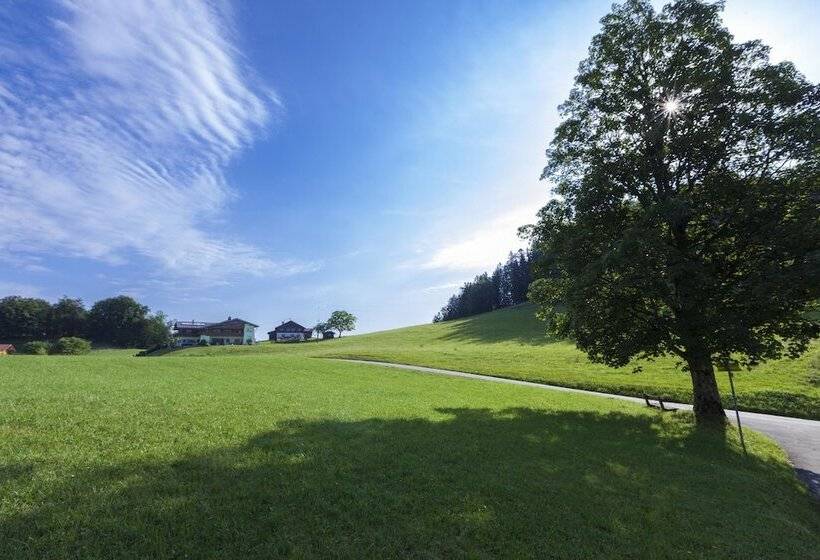 펜션 Ferienwohnungen Gästehaus Lärcheck