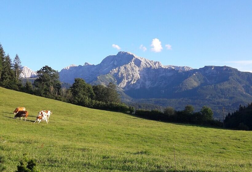 펜션 Ferienwohnungen Gästehaus Lärcheck