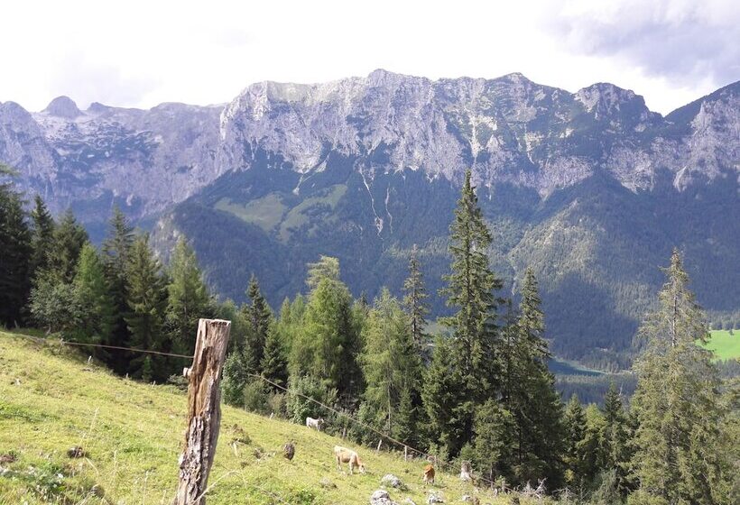 펜션 Ferienwohnungen Gästehaus Lärcheck