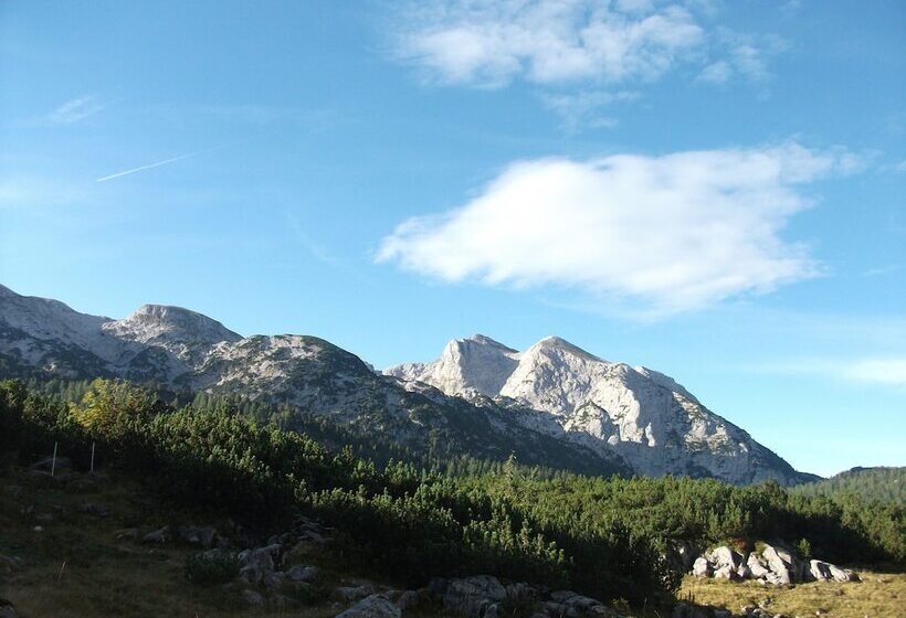 펜션 Ferienwohnungen Gästehaus Lärcheck