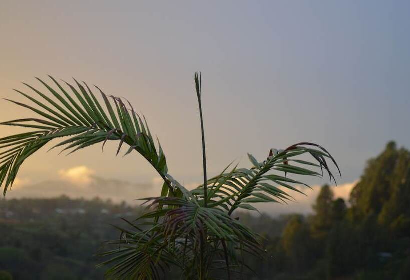 פנסיון Finca Alexandría