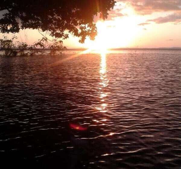 بنسيون Rosa's Lake Cabins