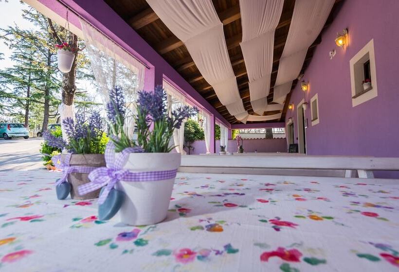 Пансион Villa Sandi   Free Parking