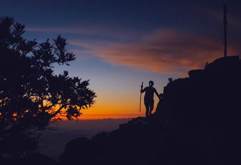Spanish By The River   Boquete   Hostel