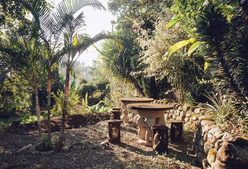 Spanish By The River Turrialba Hostel