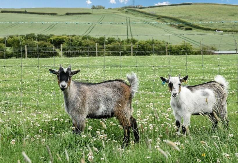 Street House Farm Cottage