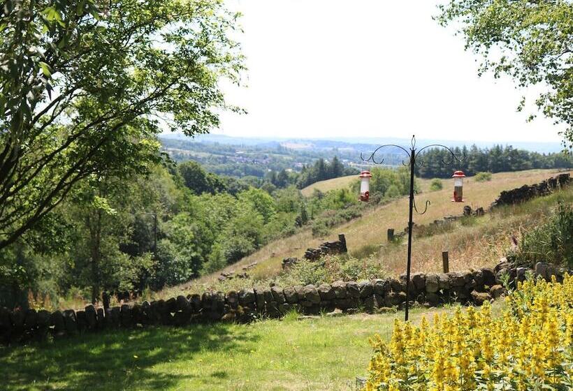 The Laburnum Retreat Shepherd Hut Private Hot Tub
