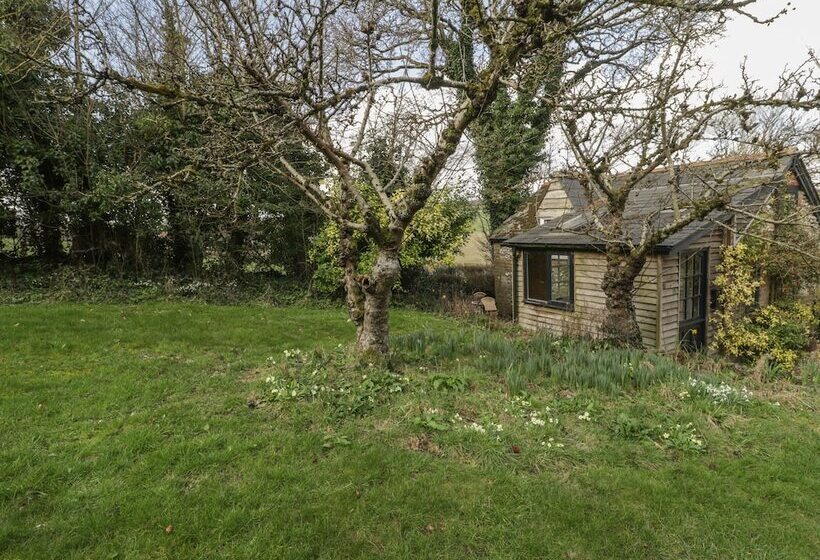 The Mouse House