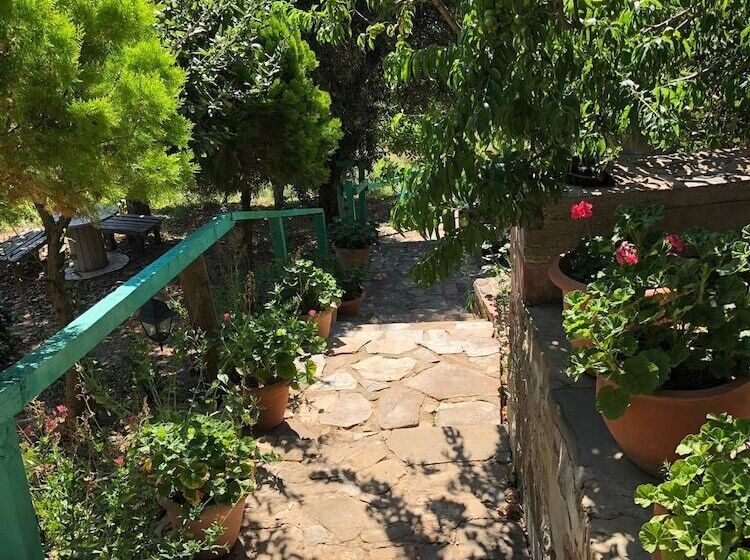 Yesil Vadi Apart Pansiyon   Hostel