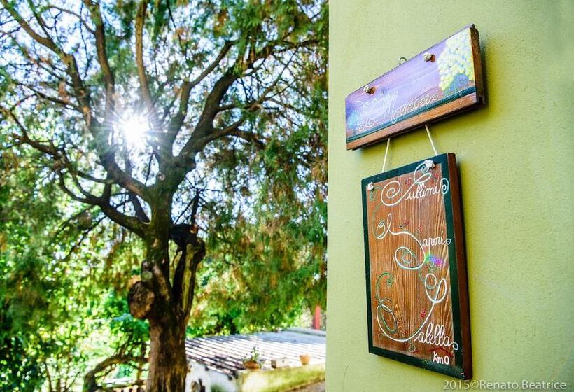 Acasamia Wine Resort   Borgo Salella