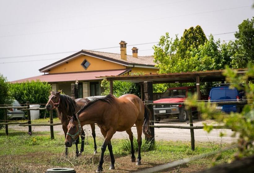 Agriturismo L.b.stud