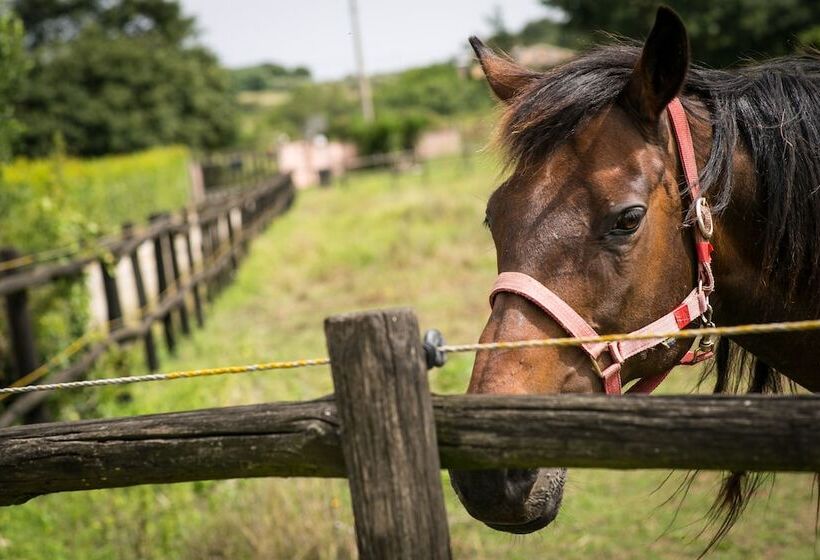 Agriturismo L.b.stud