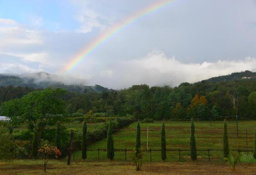 Amedea Tuscany Country Experience