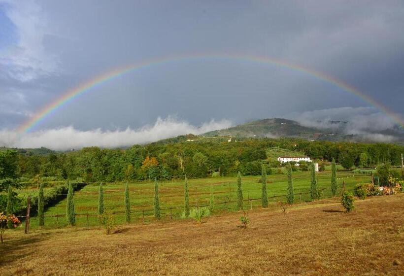 Amedea Tuscany Country Experience