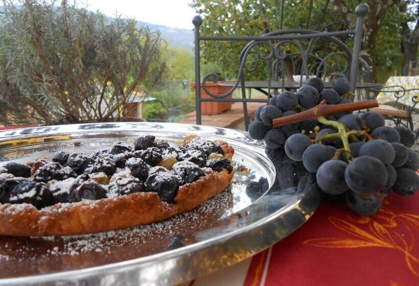 Amedea Tuscany Country Experience