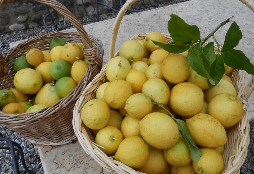 Amedea Tuscany Country Experience