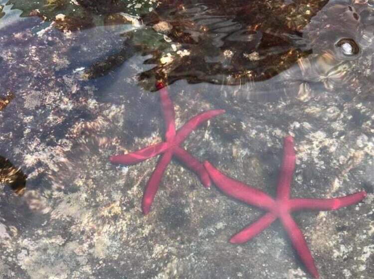 مبيت وإفطار La Caletta