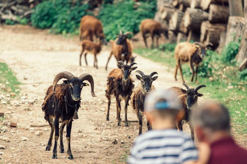 Biohotel Kunst.quartier.stein