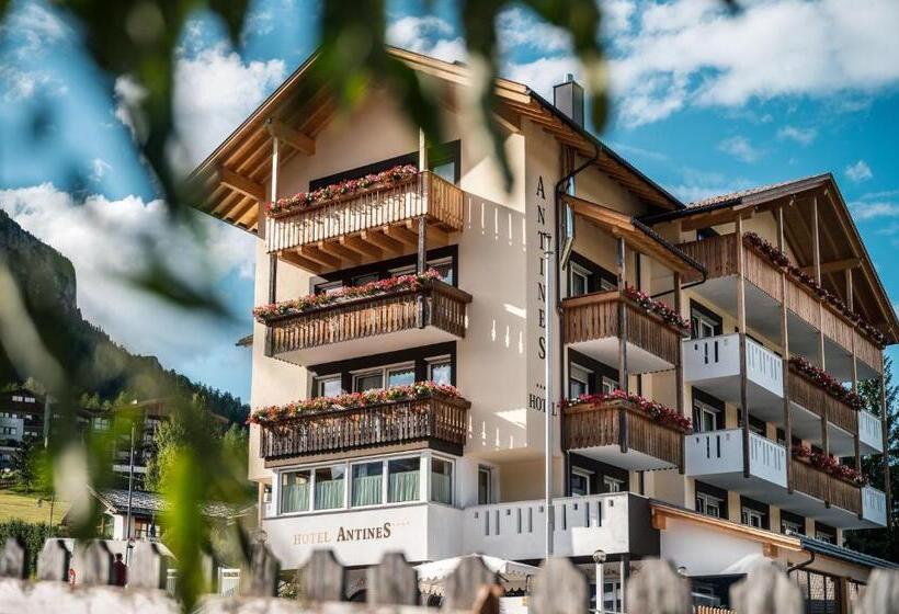 בית מלון כפרי Antines