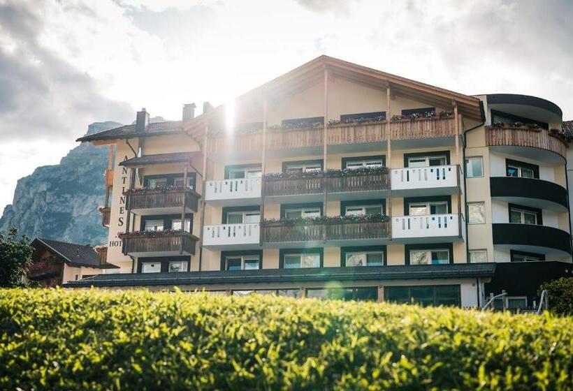 בית מלון כפרי Antines