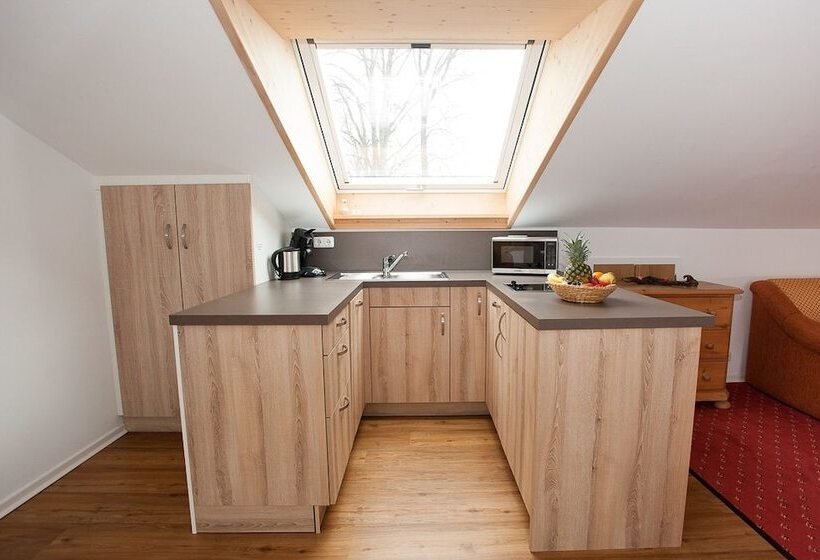 Отель Apart Pension Vita Stafnensis