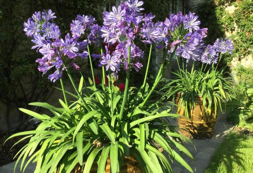 فندق B&b Auberge De Klasse