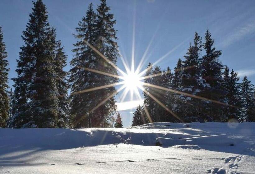 فندق Caminetto Mountain Resort