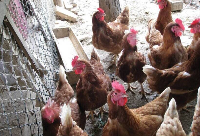 Отель Cascina Ponchietta