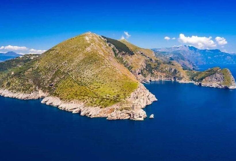 Отель Domus San Vincenzo