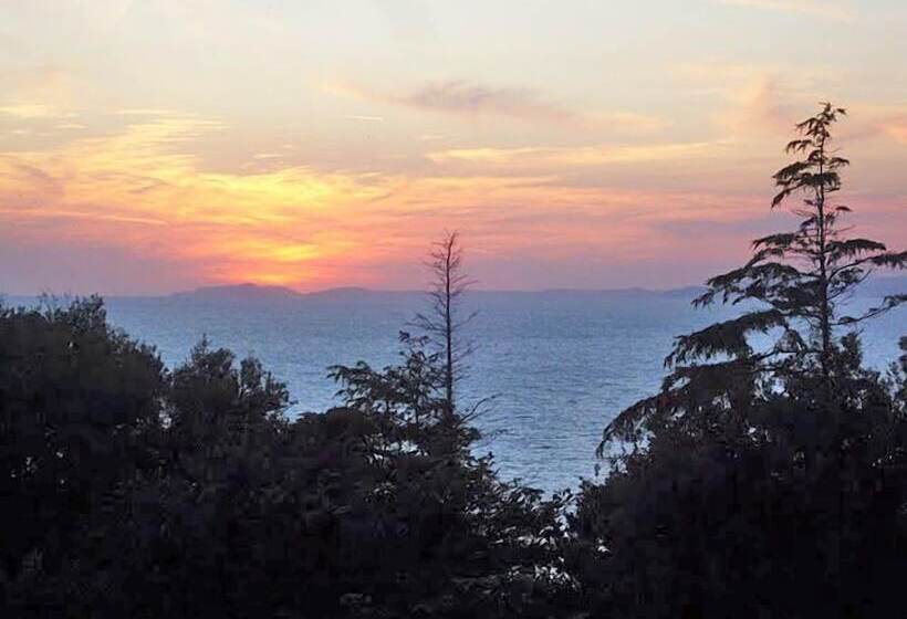 Отель Domus San Vincenzo