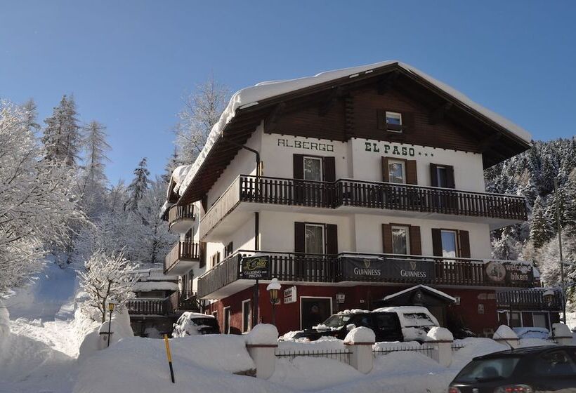 فندق El Paso