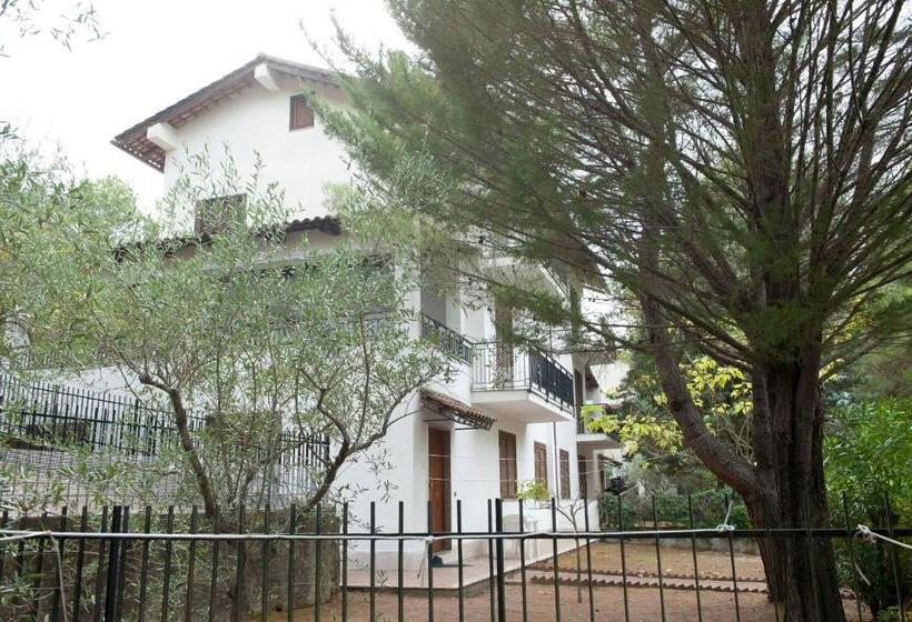 ホテル Elena Residence