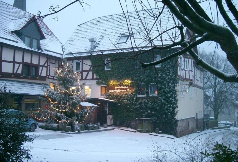 Отель Fritz'es Goldener Stern