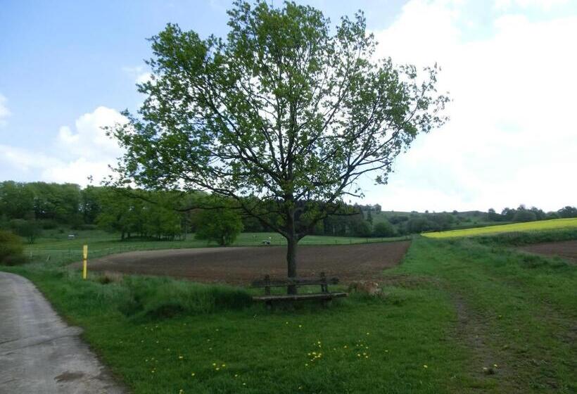 Отель Fritz'es Goldener Stern