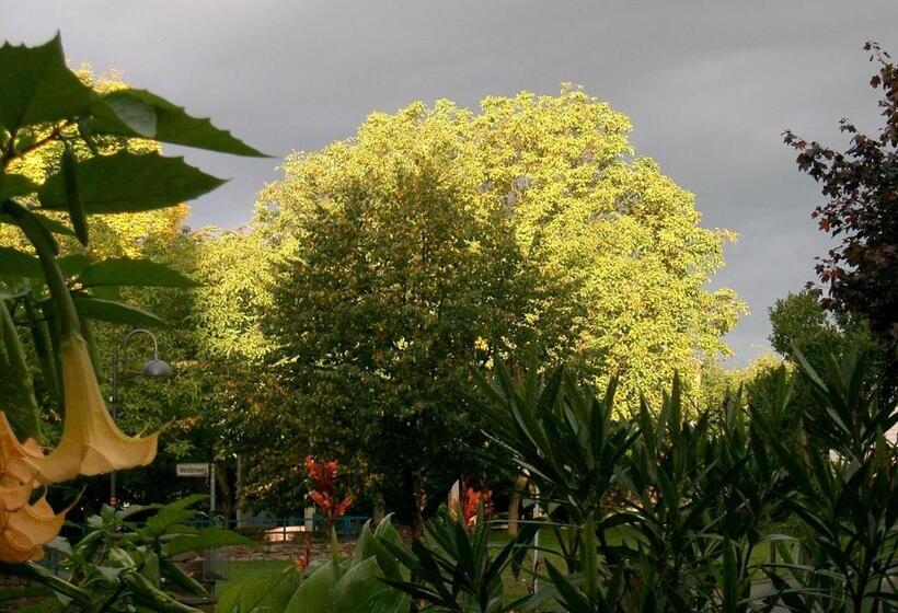 Отель Fritz'es Goldener Stern