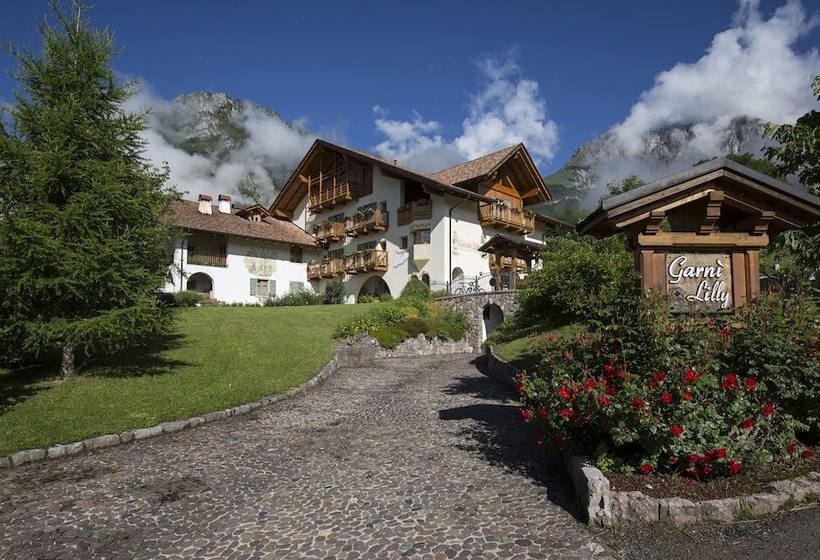 בית מלון כפרי Garni Lilly