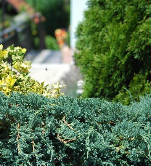 호텔 Garni Zum Weinkrug