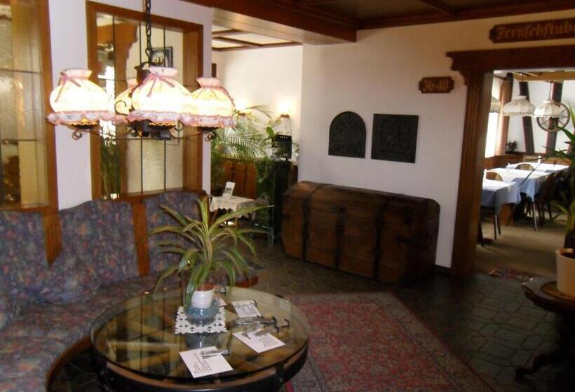 בית מלון כפרי Gasthof Traube