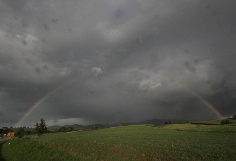 호텔 Gasthof Zur Traube