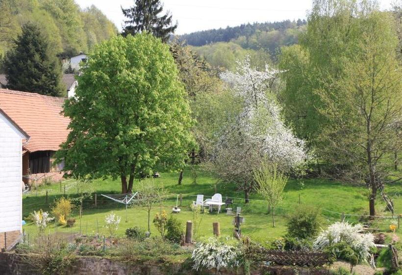 Отель Gasthof Zur Traube