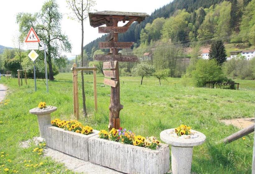 Отель Gasthof Zur Traube