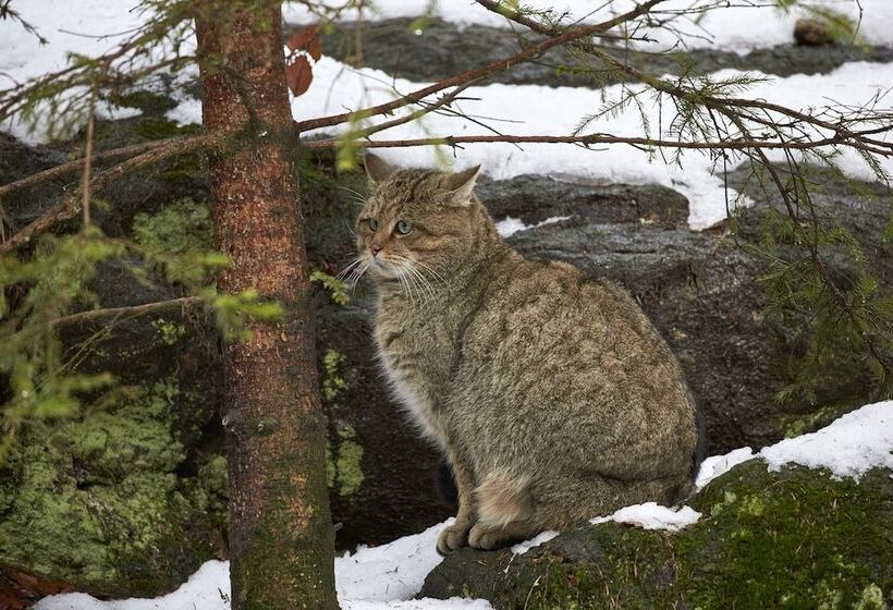 호텔 Haus Jägerfleck