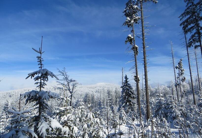 호텔 Haus Jägerfleck