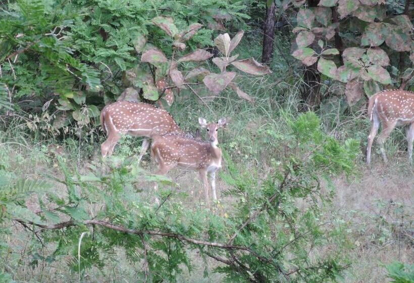 酒店 Isabel Palace