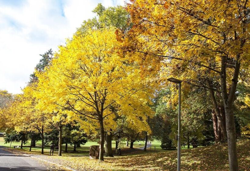 Kurhaushotel Bad Salzhausen