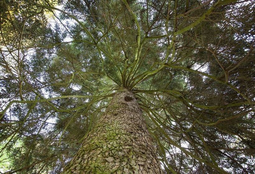 Kurhaushotel Bad Salzhausen