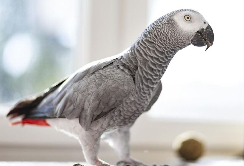 Kurhaushotel Bad Salzhausen