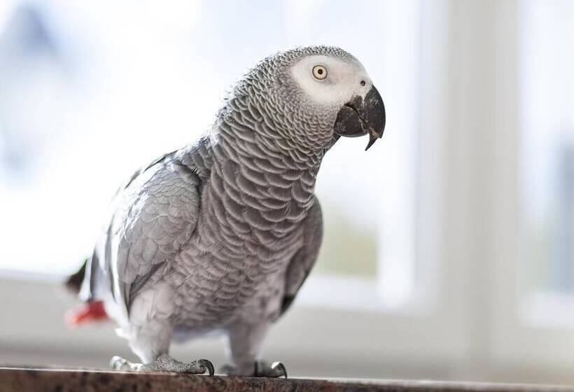 Kurhaushotel Bad Salzhausen