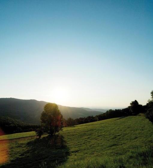 ホテル Landgut Stetter