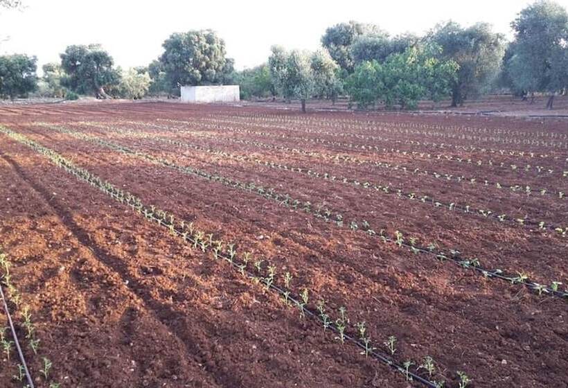 فندق Masseria San Martino